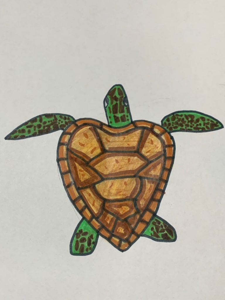 Splash by Daniela, aged 11 wins our “Turtle is Our Spirit Animal ...