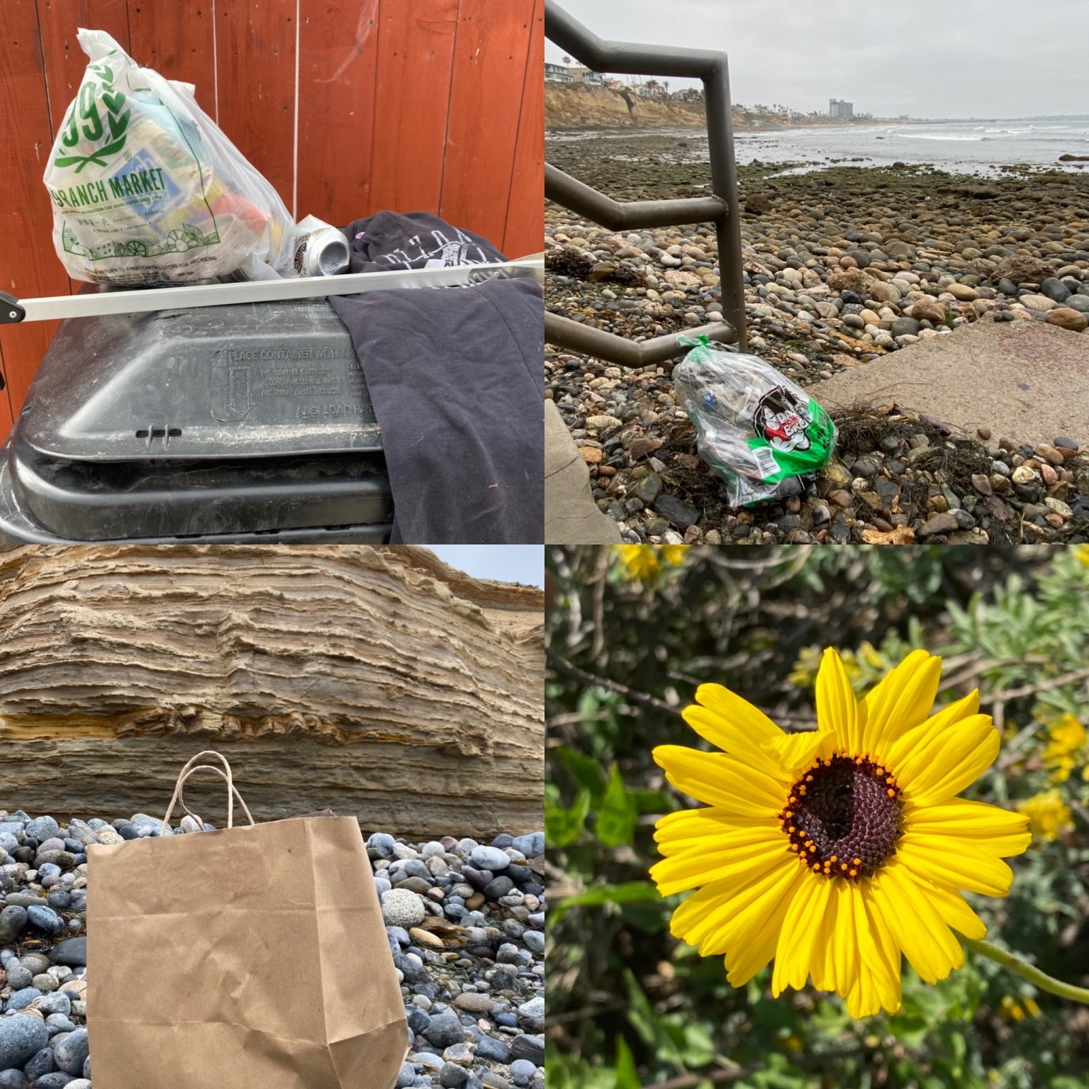 May 2021 Plastic Picking Totals! – Dr. Plastic Picker